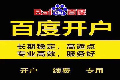 搜索引擎营销（SEM）广告的创意与执行案例